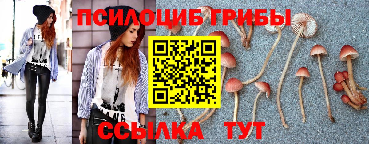 Галлюциногенные грибы Psilocybine cubensis  Вход с VPN  Коммунар 